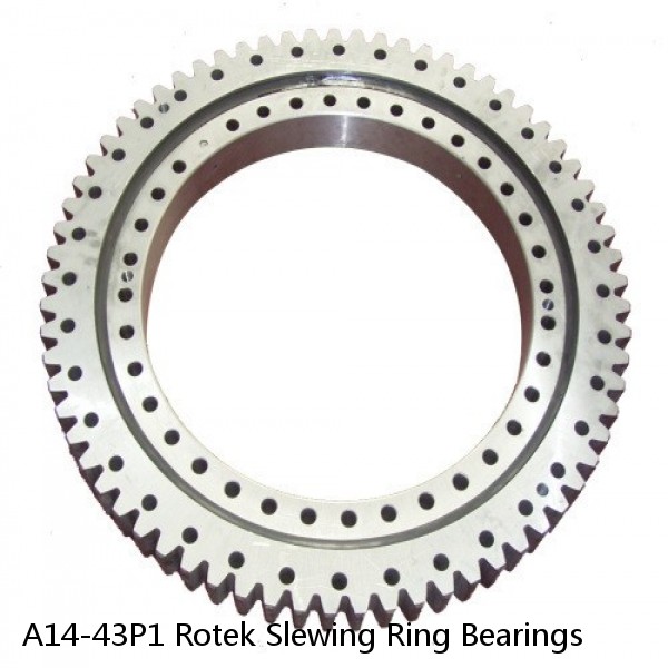 A14-43P1 Rotek Slewing Ring Bearings #1 small image