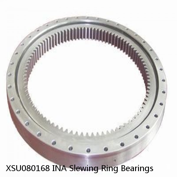 XSU080168 INA Slewing Ring Bearings #1 small image