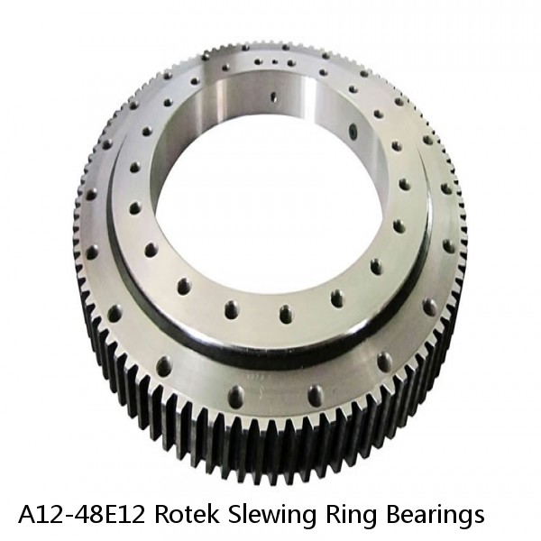 A12-48E12 Rotek Slewing Ring Bearings #1 small image