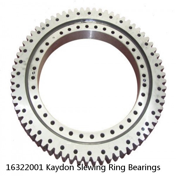 16322001 Kaydon Slewing Ring Bearings #1 small image