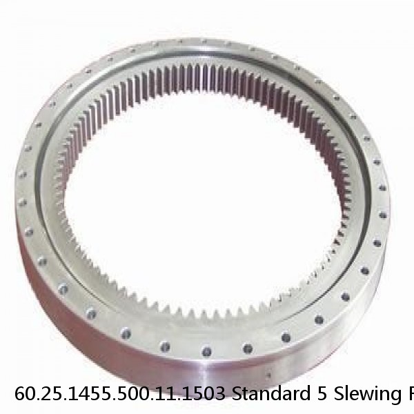 60.25.1455.500.11.1503 Standard 5 Slewing Ring Bearings #1 small image