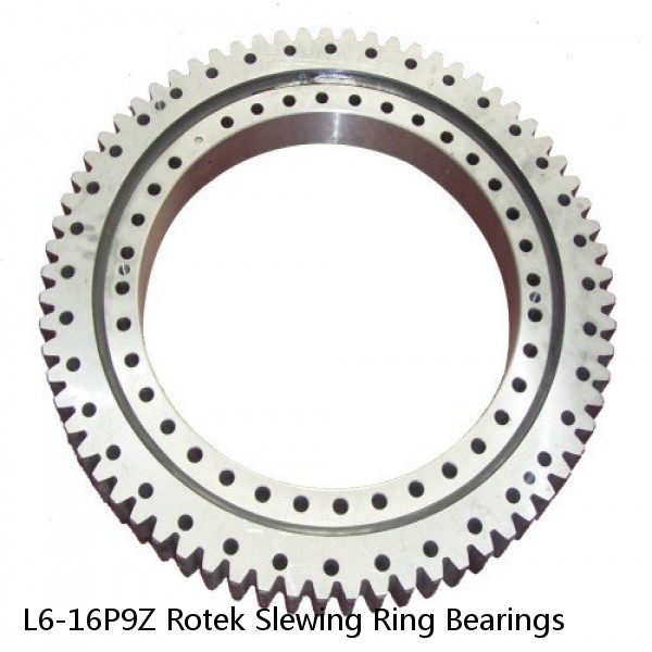 L6-16P9Z Rotek Slewing Ring Bearings #1 small image