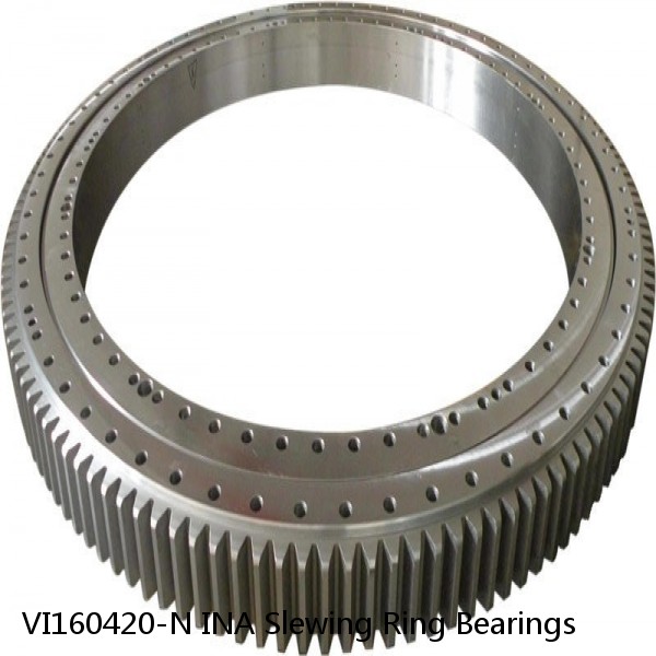 VI160420-N INA Slewing Ring Bearings #1 small image