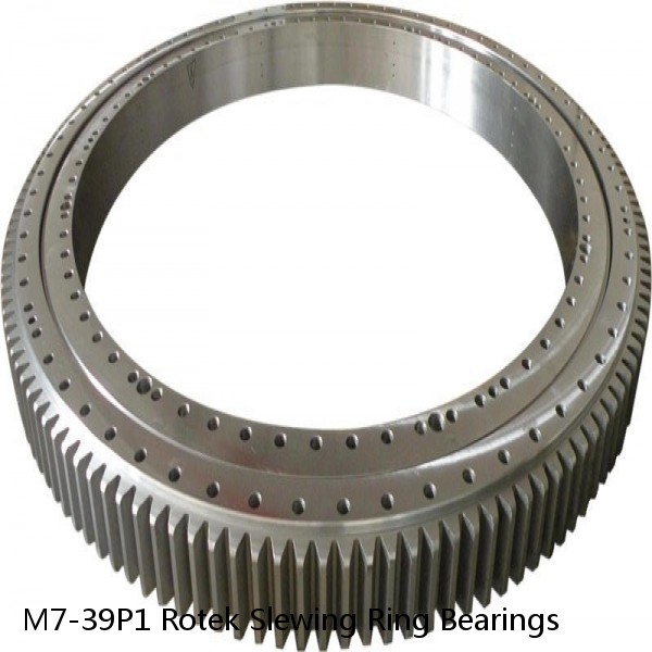 M7-39P1 Rotek Slewing Ring Bearings #1 small image