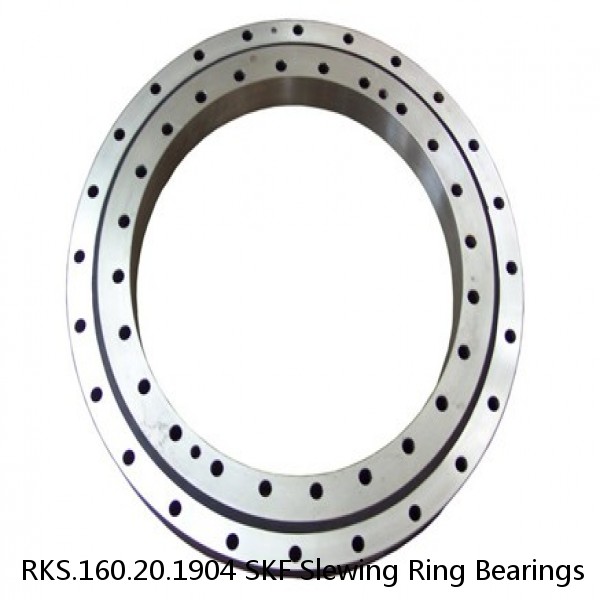 RKS.160.20.1904 SKF Slewing Ring Bearings #1 small image