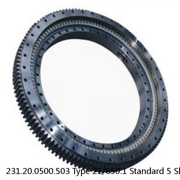 231.20.0500.503 Type 21/650.1 Standard 5 Slewing Ring Bearings #1 small image