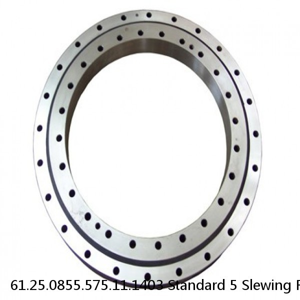 61.25.0855.575.11.1403 Standard 5 Slewing Ring Bearings #1 small image