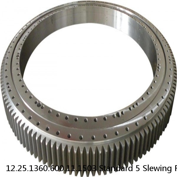 12.25.1360.600.11.1503 Standard 5 Slewing Ring Bearings #1 small image