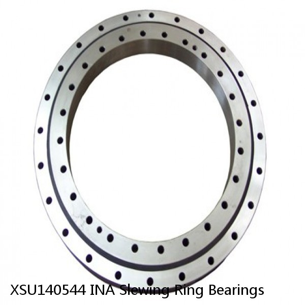 XSU140544 INA Slewing Ring Bearings #1 image
