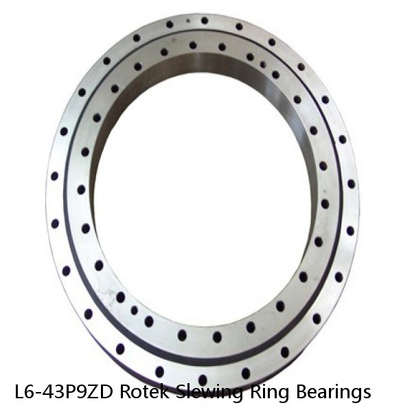 L6-43P9ZD Rotek Slewing Ring Bearings #1 image