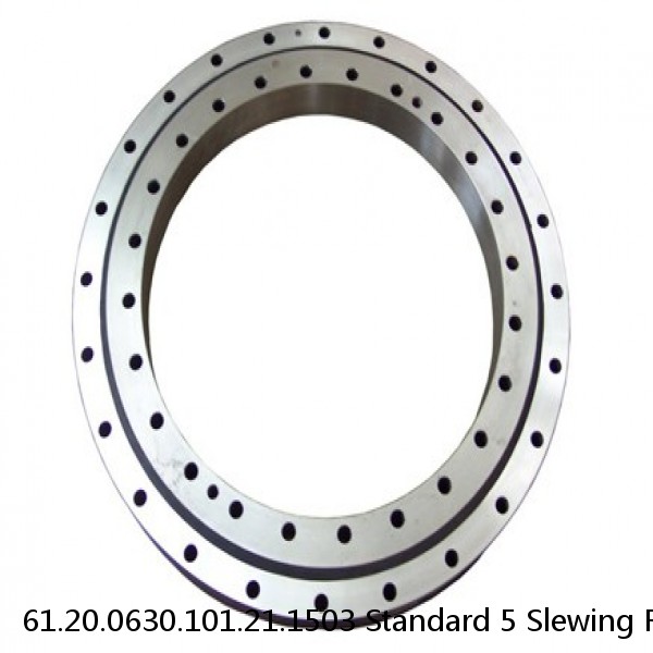 61.20.0630.101.21.1503 Standard 5 Slewing Ring Bearings #1 image