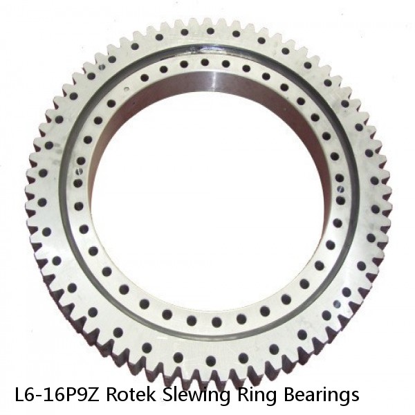 L6-16P9Z Rotek Slewing Ring Bearings #1 image