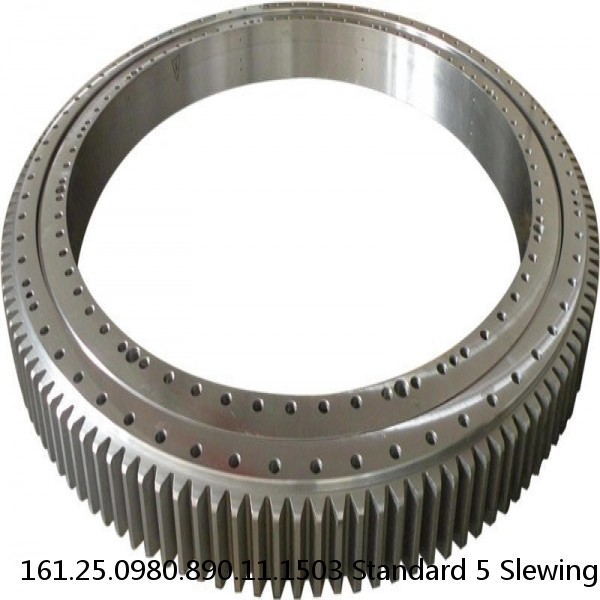 161.25.0980.890.11.1503 Standard 5 Slewing Ring Bearings #1 image