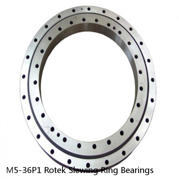 M5-36P1 Rotek Slewing Ring Bearings #1 image