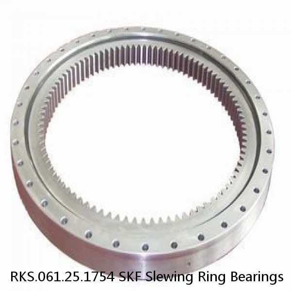 RKS.061.25.1754 SKF Slewing Ring Bearings #1 image